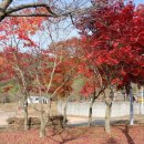 팔영산오토캠핑장 이미지