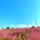 돌머리 696 이미지