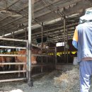 정종호 축사 이미지