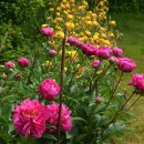 수미민박 이미지