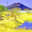 꿈꾸는 나비 이미지