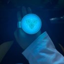 데이식스 포에버영 콘서트