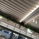 한솔냉면 이미지