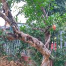 함양읍사무소 이미지