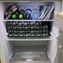 버들소 | [2024] 지구를 흔들자