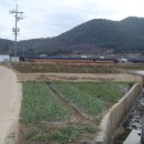 정도농장 이미지