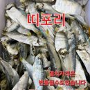 서진이네건어물