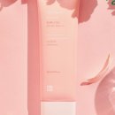 페이스리퍼블릭
