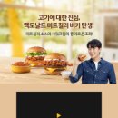 대한미트 이미지