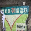 달동네의 삶을 느껴보는 이색 박물관 탐방 이미지