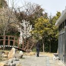 향우본가(식육식당) 네이버블로그