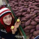 고창가구마트 이미지
