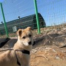 한아름 쉼터 이미지