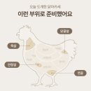 하림구이 | 신선함이 다른 당일 도계 닭마카세, 하림 오드그로서 닭구이 4종 솔직후기