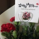16년 5월 첫째주 일상
