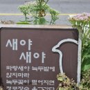 '녹두꽃이 피었다' 이미지