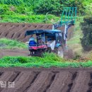 상모리-27 이미지