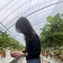 아인농장 이미지