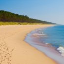 바다와솔숲 이미지