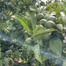 거운농장 이미지