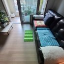 신월6동 주민센터 이미지