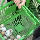 풀내음펜션 - 고성군 용촌천길 70-16 | 풀내음펜션
