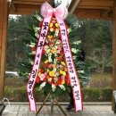 사이언스클럽 이미지