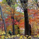 기룡산 등산로1 이미지