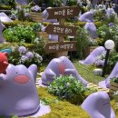 동철목장 이미지