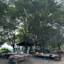 지리산풀꽃농원민박 | 산 속 뷰 맛집, 풀꽃농원에서 즐기는 토종닭구이🍗