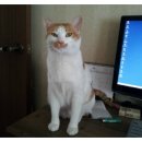 143[예비3+3]사진놀이 이미지