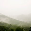 대금농장 이미지