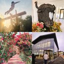 (주)제주미니미니랜드 | 30개월아이부터 초딩까지 제주독채풀빌라 야크마을제주 풀스위트 두도 내돈내산후기