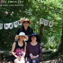 환상숲곶자왈공원 티스토리