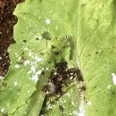 리보목욕탕 이미지