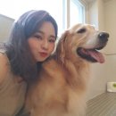 엔터테인멍트 이미지