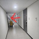 더나인스테이 네이버블로그