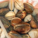 고창오토캠핑리조트 이미지