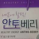 안토베리 이미지