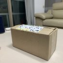 인핸스라이프 | 테라픽 탈모 샴푸 추천, 계면활성제 없는 샴추 “인핸스샴푸”