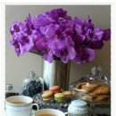 펜트하우스 민박 이미지