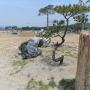 청솔수석박물관 이미지