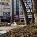 아이플라워 메이트 | JAN, 2026 ‘그냥, 천천히 채워진 1월’