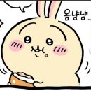 김연복 | 내가 8월 다 지난걸 모를까?