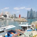 생선회 특화지역 이미지