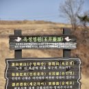 포도기
