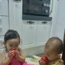 참실농장 이미지