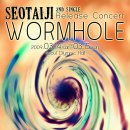 [2009 서태지 싱글Ⅱ 발매 기념 공연 ‘WORMHOLE’] !!!!!! 이미지