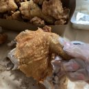 촌닭이이두마리
