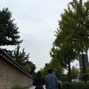 김지민 카카오 검색결과